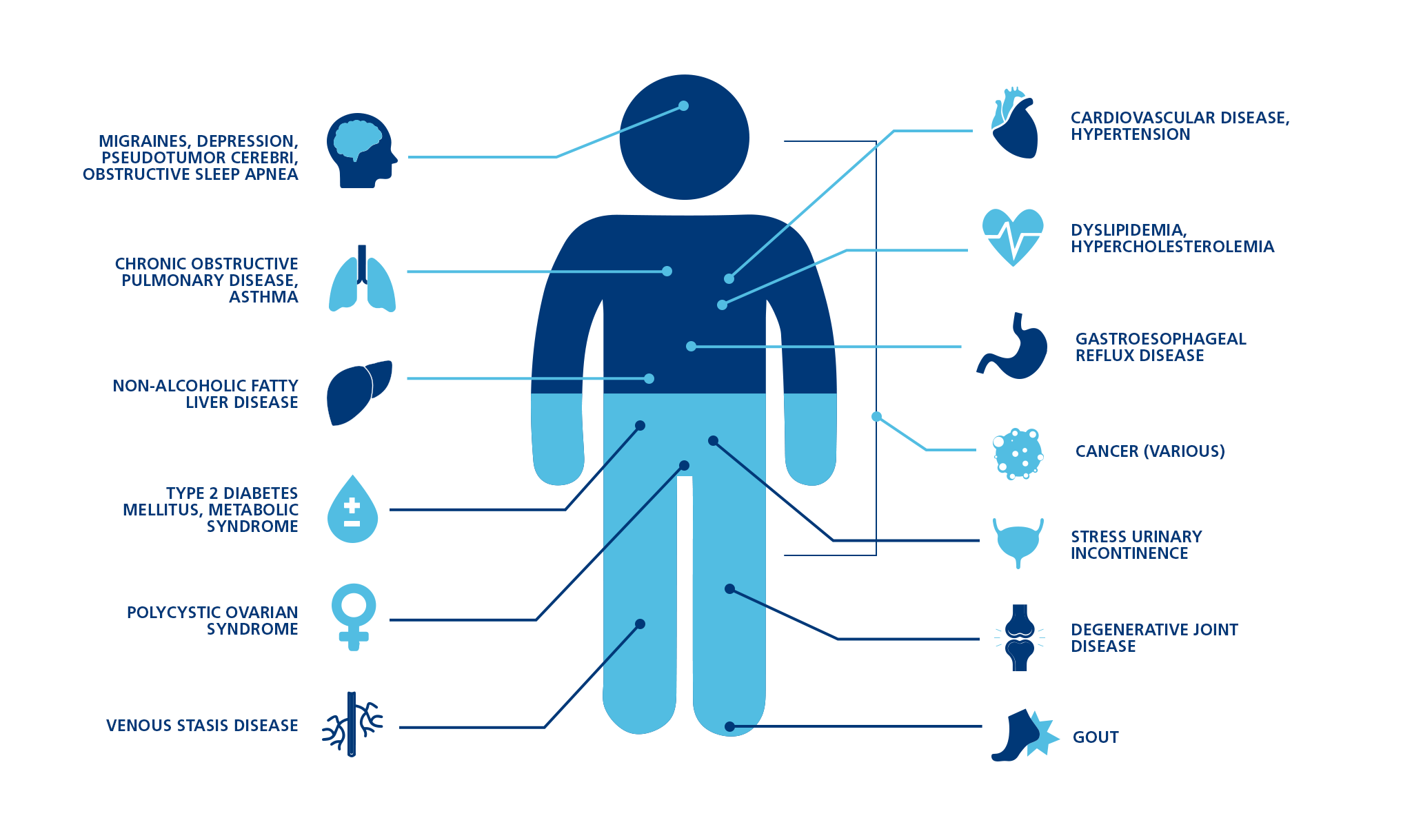 How Obesity Impacts your Health